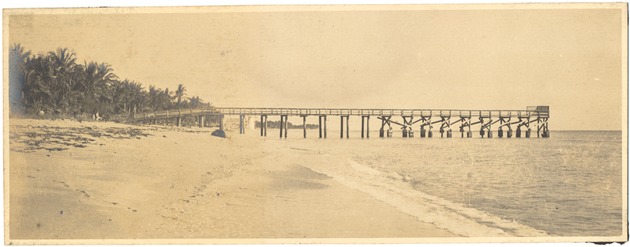Ocean Pier at Alton Beach and Tropical Gardens boat dock - Photograph, [Ocean Pier at Alton Beach. View at 18th Street and Roman Pools at 2rd in the background.]