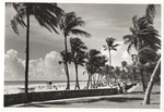 Promenade at Lummus Park Beach