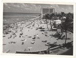 72nd street beach goers