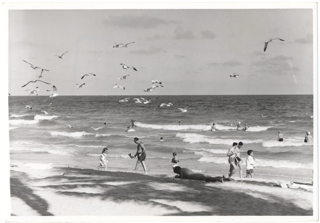 People and birds on the beach