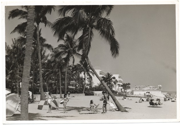 Sunbathers under palm trees on Miami Beach