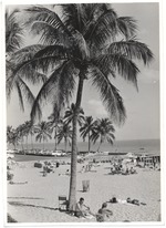 Ocean Drive and beach