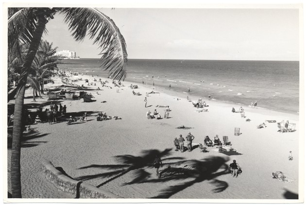 Palm trees and shadows on Miami Beach