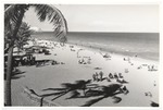 Palm trees and shadows on Miami Beach