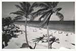 Promotional Beach Scene of Miami Beach