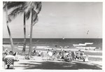 Sunbathers and beach goers under palm trees on Miami Beach