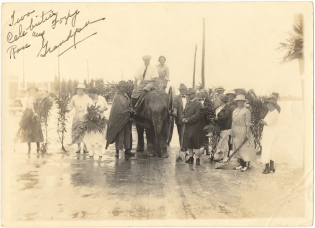 Rosie the elephant - Photograph, recto, [Rosie the Elephant, 1920s]