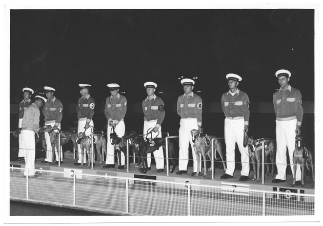 Greyhounds and Trainers at the Dog Track