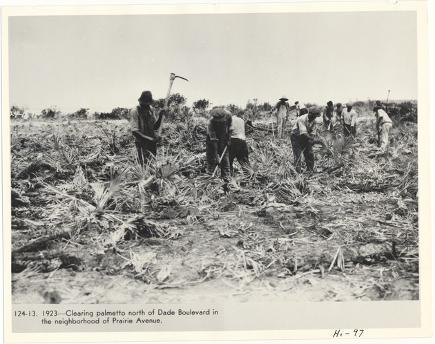 Clearing palmetto north of Dade Boulevard in the neighborhood of Prairie Avenue