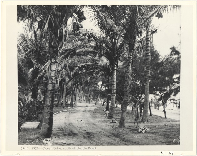 Ocean Drive south of Lincoln Road