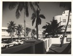 MISSING THUMBNAIL