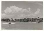 Boats in the water