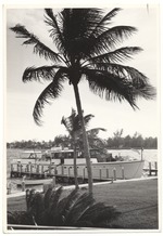 Boat in dock