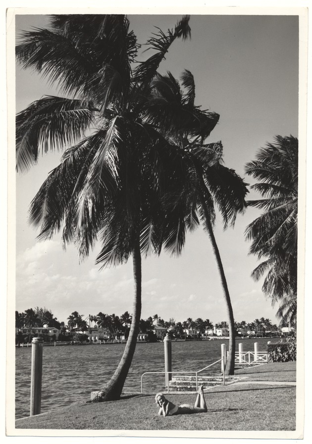 Woman poses next to palm tree