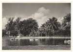 Sandi Justis sitting by pond