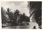 Indian Creek