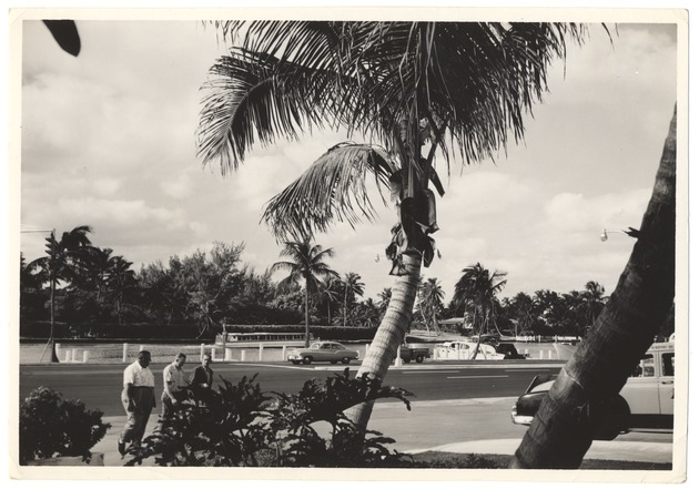 Miami Beach carport