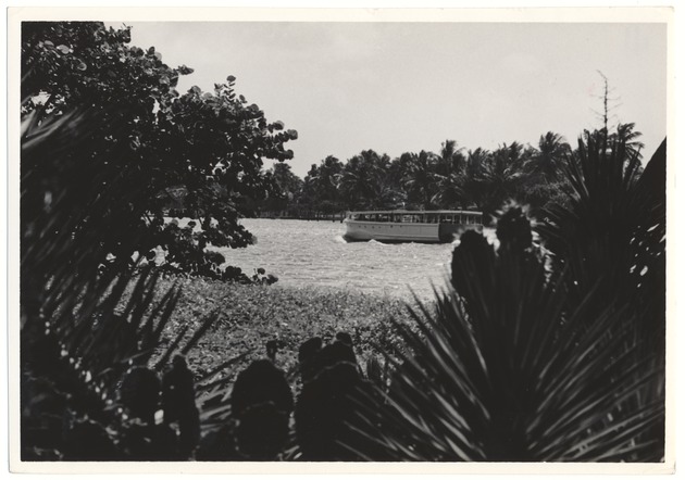 Miami Beach waterway through trees
