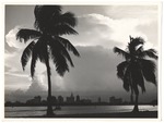 Miami skyline from Watson Island