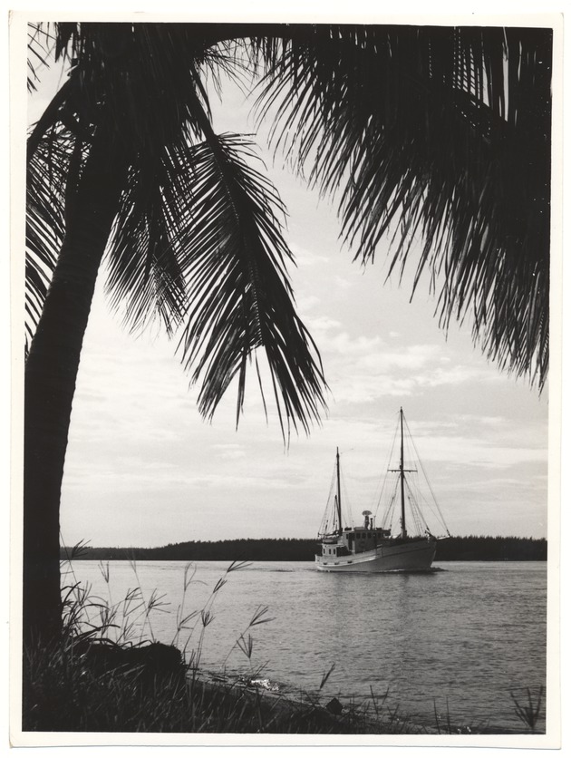 Large sailboat in waterway