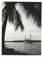 Large sailboat in waterway