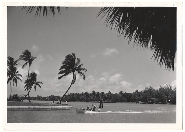 Trees and boat on waterway