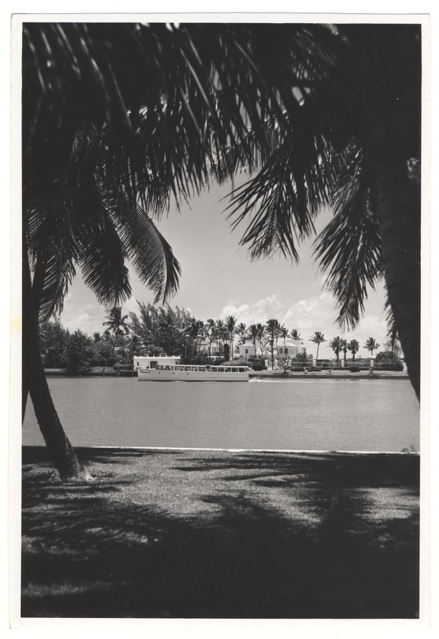 Large boat through trees on Miami Beach