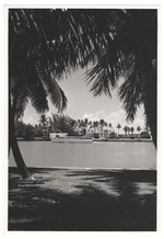 Large boat through trees on Miami Beach