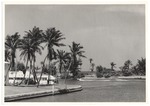 Boats in Miami Beach waterway