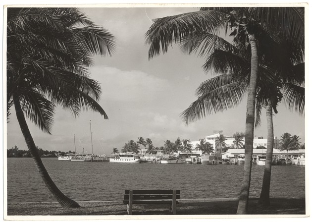 Indian Creek hotels, residences and modeling scenes - Photograph, recto: [Waterway scene, Indian Creek]