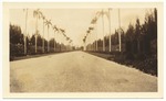 Hialeah Park entrance, 1933