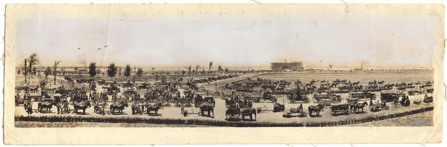 Horses, mules, elephants, and machines used by  Carl G. Fisher to develop much of Miami Beach, 1923