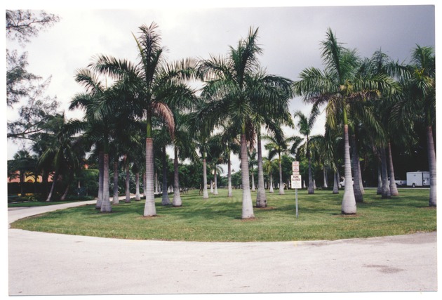 Miami Beach Park - 