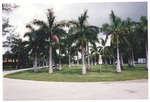 Miami Beach Park