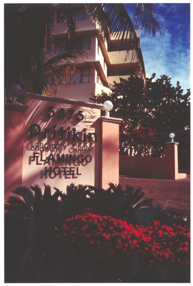 Entrance to Flamingo Hotel - 