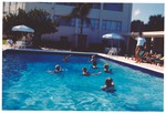 Guests in Flamingo Hotel pool