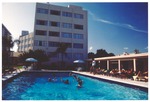 Flamingo Hotel pool scene