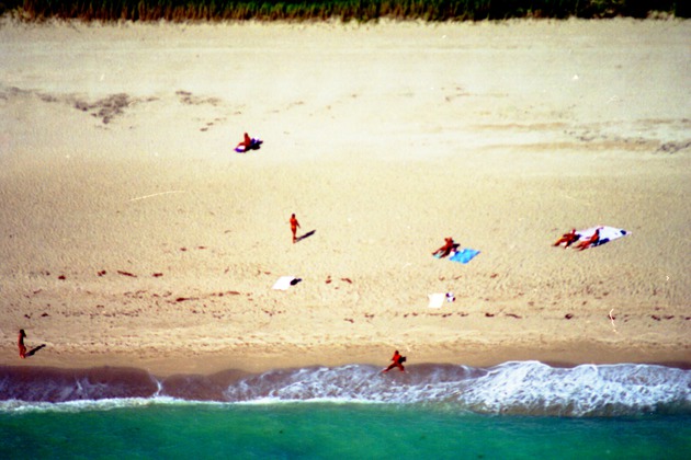 Several Beachgoers on Beach