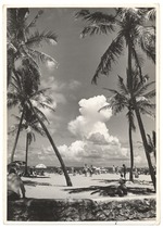 Miami Beach scene