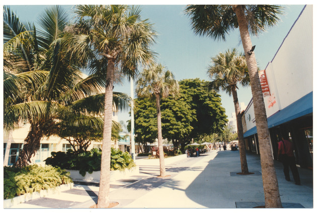 Lincoln Road