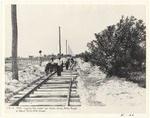 [1923] Laying street car tracks along Alton Road at about Thirty-fifth Street