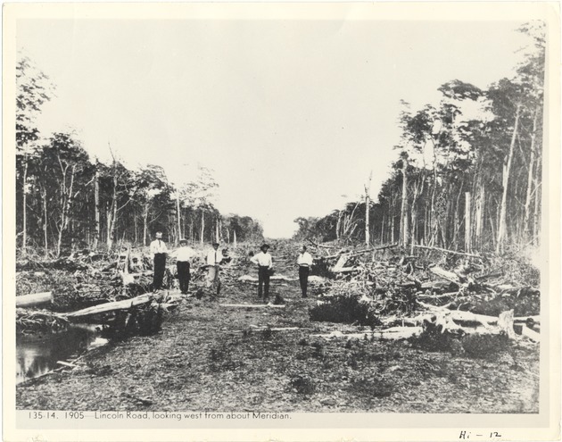 Clearing wilderness on Lincoln Road