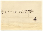 [1916] Miami Beach swimmers