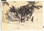 [1916] Miami Beach ocean and waterway scenes