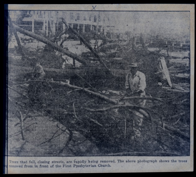 Trees that fell in front of the First Presbyterian Church are Removed