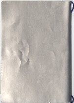 MISSING THUMBNAIL