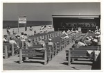 People Sitting on Benches at the Friendship Corner