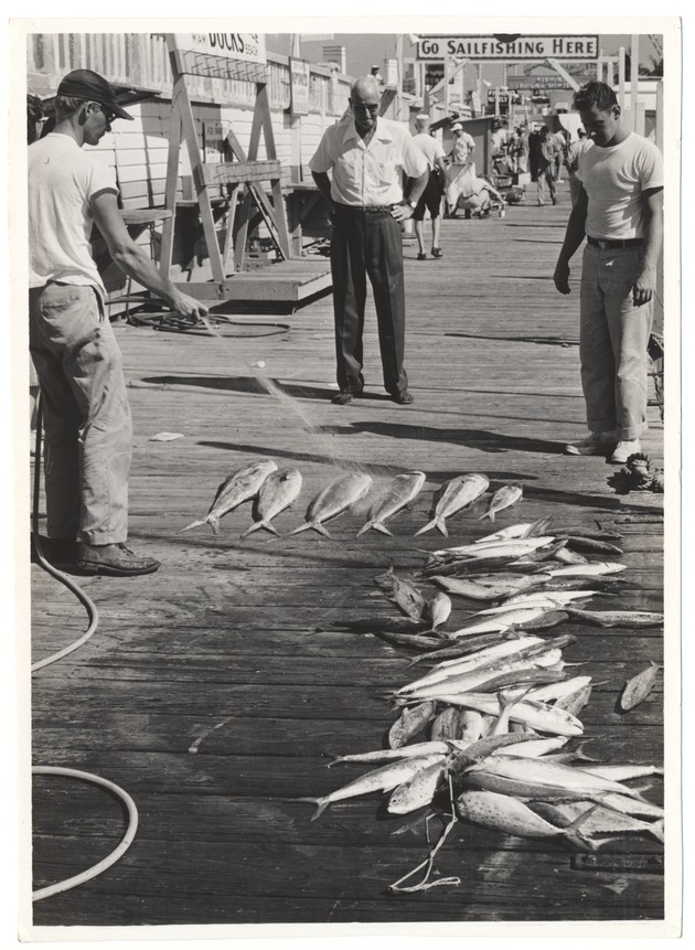 Men Wait for Fisher to Wash Fish at Chamber of Commerce Docks