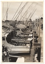 Docked Boats, Including "Playmate," "Gypsy Queen," and "Jimela"