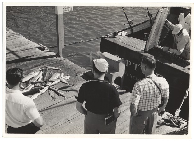 Unloading Fish at the Chamber of Commerce Docks